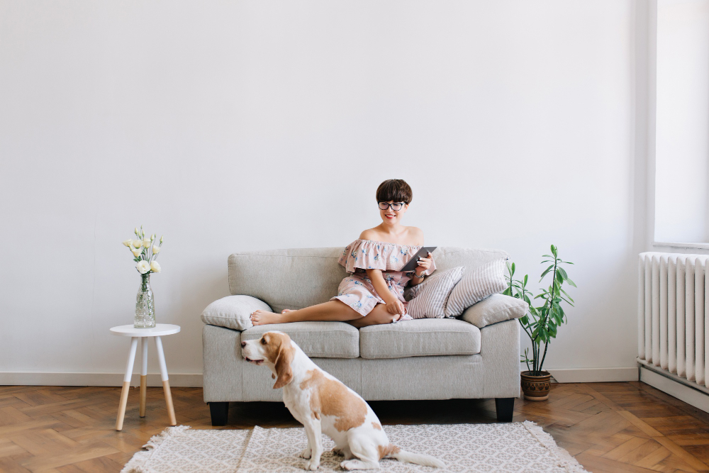 Practical HVAC Maintenance Tips for Pet Owners